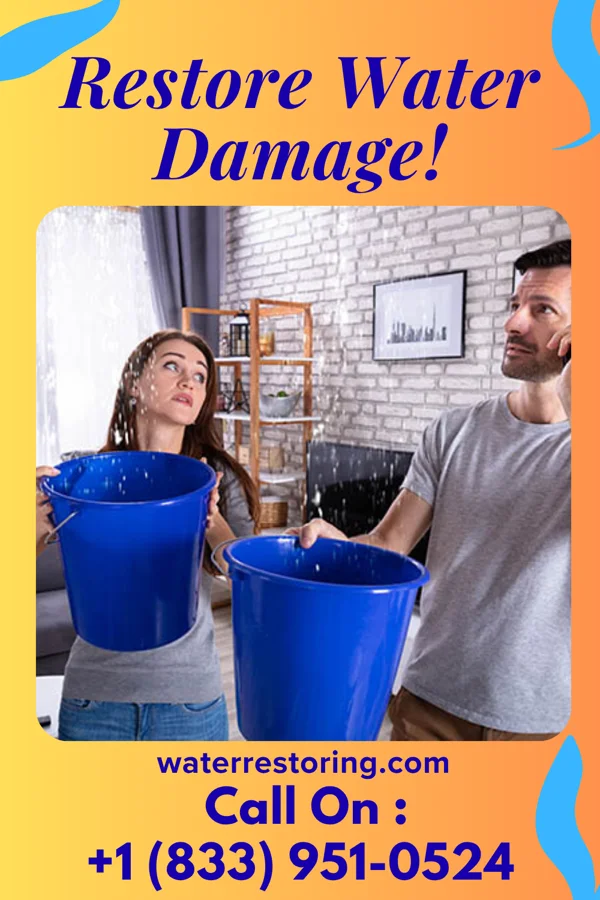 water restoration Silver Restoration Solutions Pros Newry